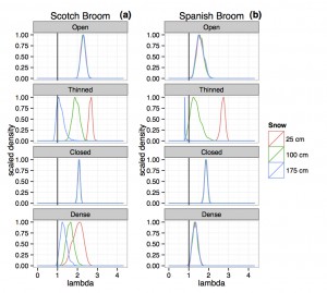 Density of simulated values of population growth rate (k) for Scotch broom (a) and Spanish broom (b) under 12 future scenarios representing three annual snowfall totals (red = 25, green = 100, and blue = 175 cm) and four canopy closure conditions (open, thinned, closed, and dense). k was generated 1000 times for each scenario based on the distribution of modeled parameter estimates assigned by the model selection criteria in Tables 1 and 2. Vertical black line indicates the threshold for positive population growth (k > 1).